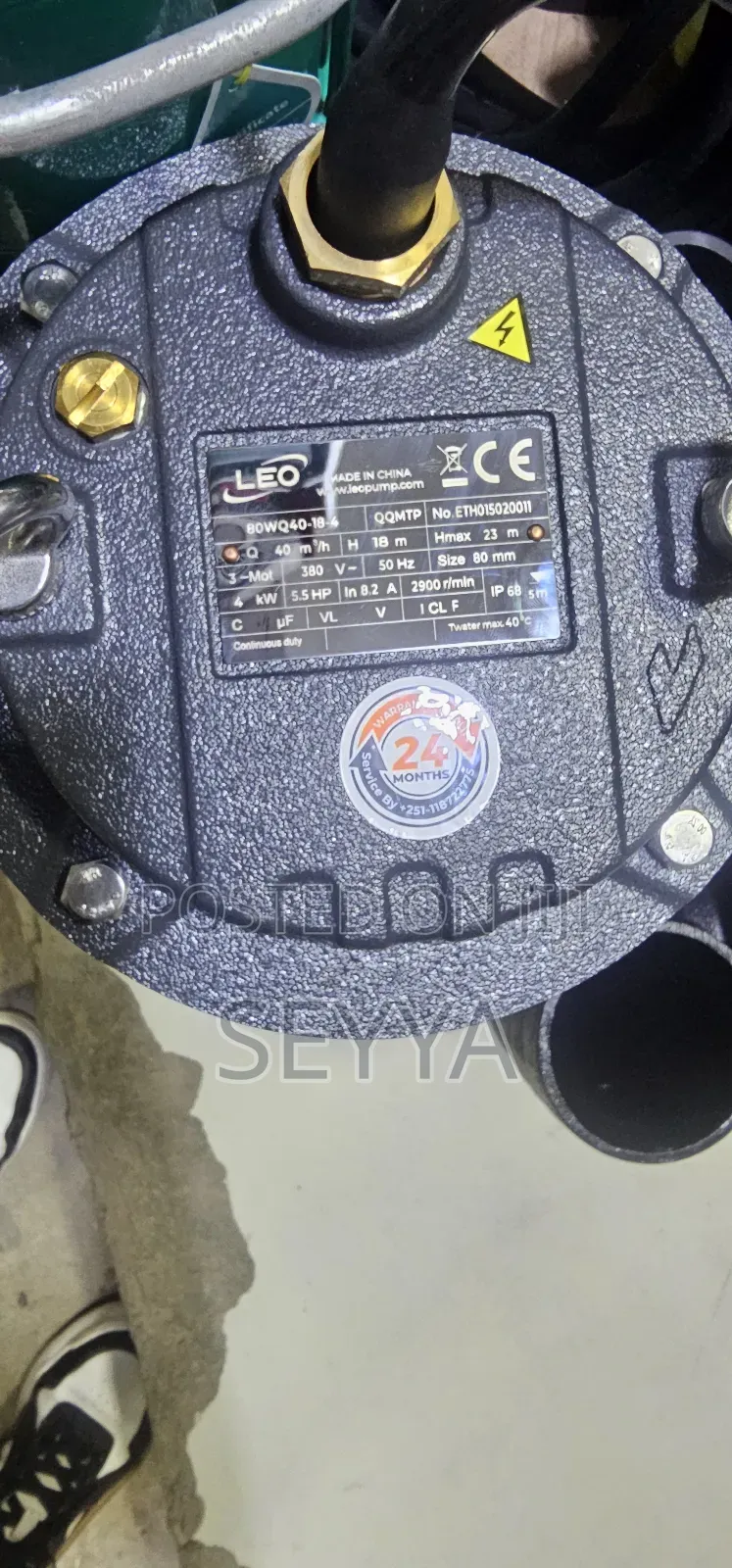 Leo Sewage Dewatering Pump