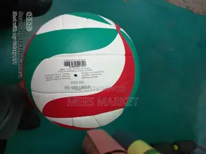 Molten Volleyball