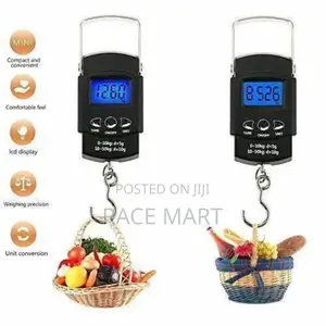 Portable Electronic Scale ዘመናዊ በኤሌክትሮኒክስ የሚሰራ ሚዛን