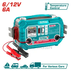 Total Battery Charger 12v/24v