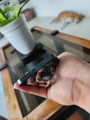 Apple iPhone 12 Pro Max 256 GB Blue