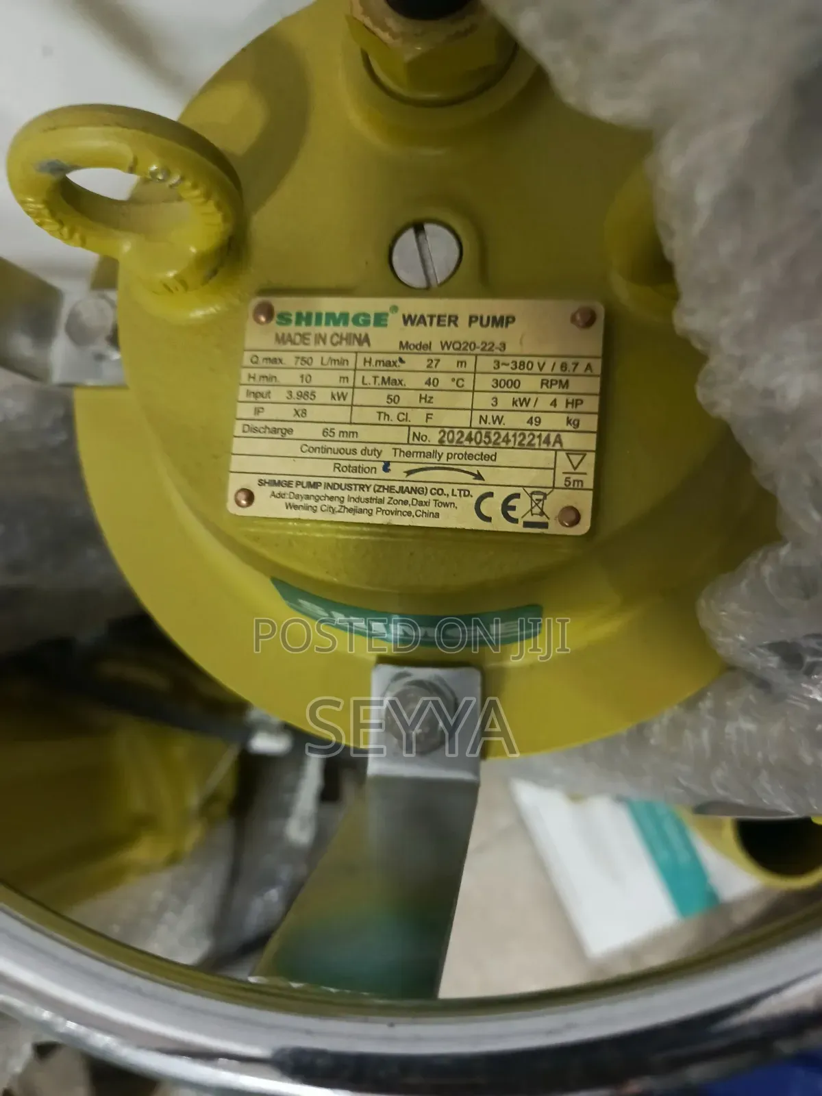 Sewage Pump