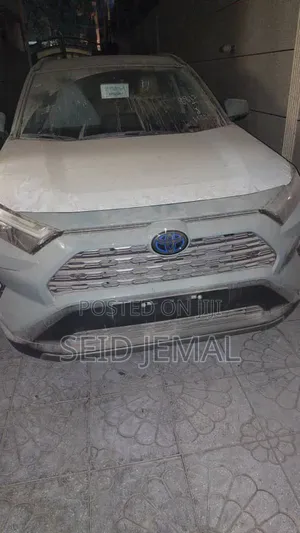 New Toyota RAV4 2023 Green