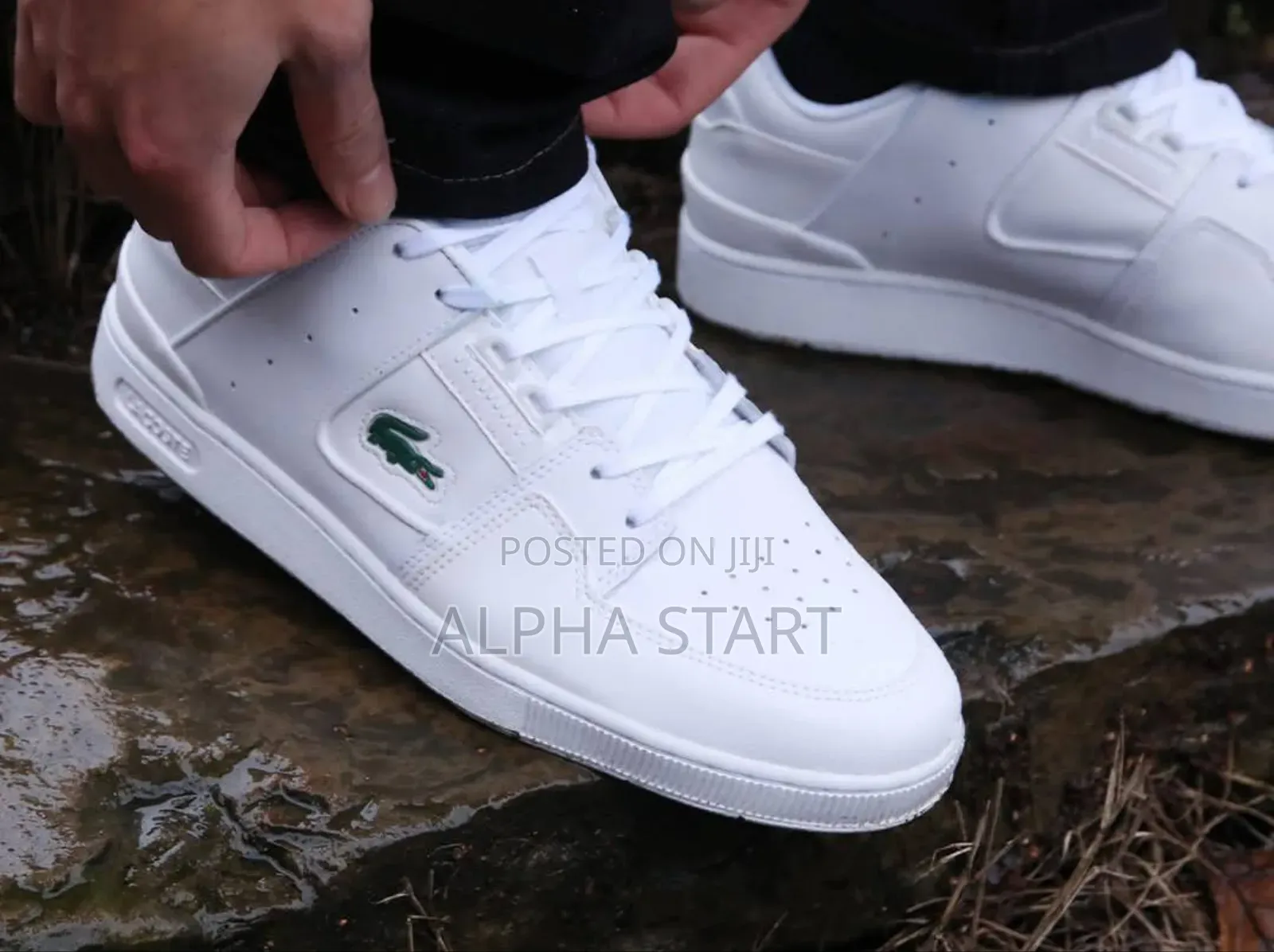 Lacoste Court Cage ‘Triple White’ Shoe