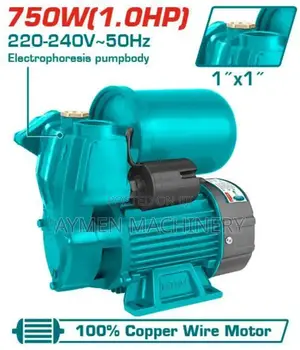 Total 1hp Automatic Self-Priming Pump