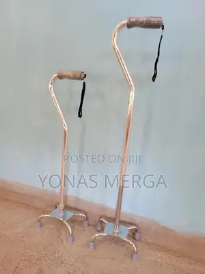 Cane٥٥4 Legged Walking Stick Star of Light٥٥cane Accessories