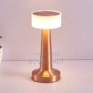 Desk Lamp (Chargable)