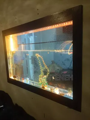Aquarium Decoration