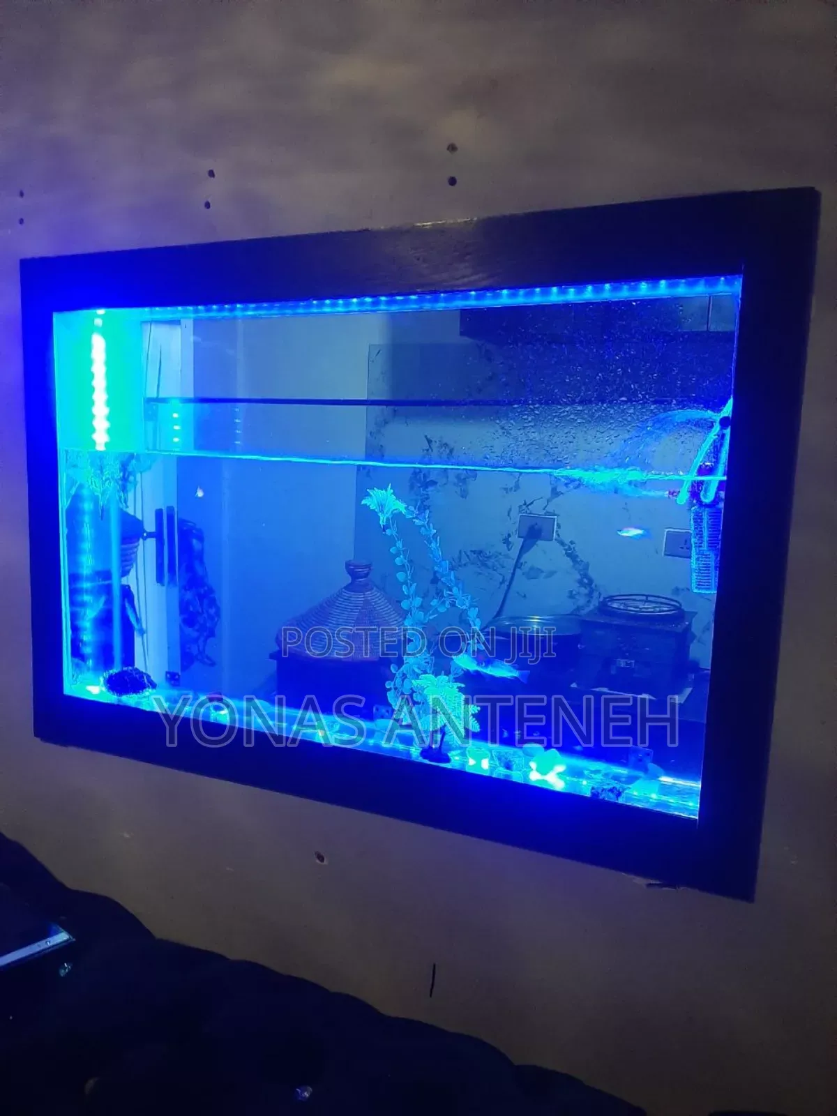 Aquarium Decoration