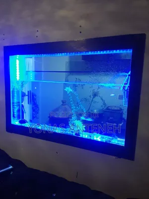 Aquarium Decoration