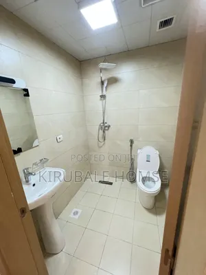 Furnished 2bdrm Apartment in Bola Airport, Bole for rent