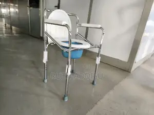 Toilet Chair黨籍commode Chair和諧commode Chair書記commode Chair
