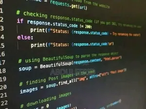 Website Developer