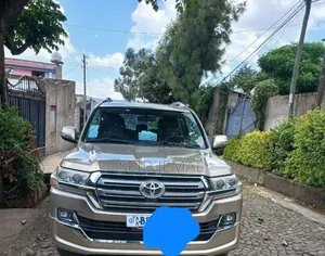 Toyota Land Cruiser 2008 Gold