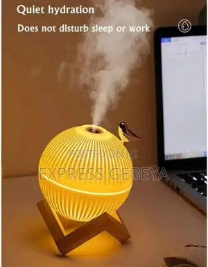 Lark Air Humidifier With Led Light
