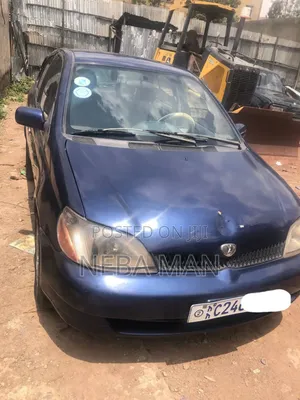 Toyota Platz 2001 Blue
