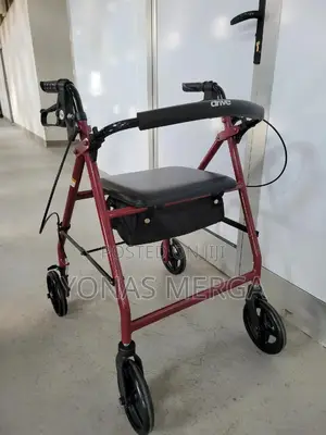 Walker/Lightweight-Wheel Walker With Loop Brakes Vinyl Bag