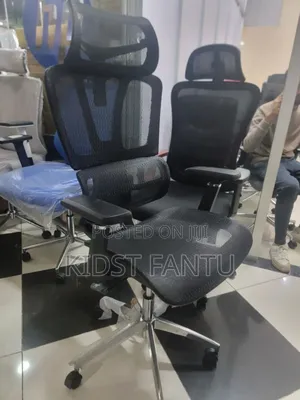 Full Mesh Egronomic Chair