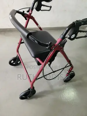 With Seat Walker炒飯walker愛國walker政治walker災難walker㠭囂walker