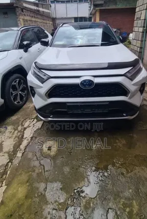New Toyota RAV4 2024 White