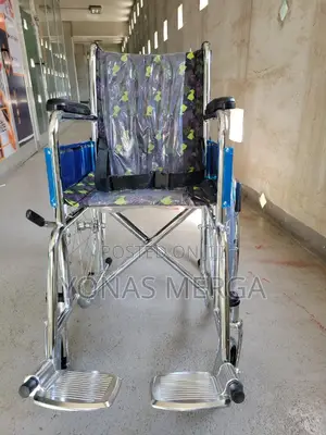 Baby’S Home/Travel Wheelchair Makes the Impossible Possible