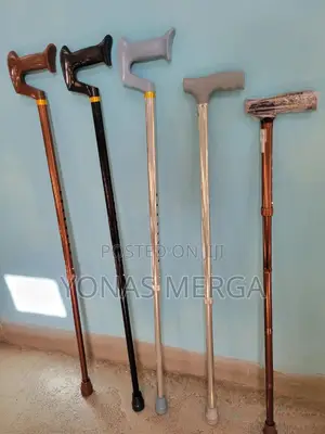 Walking Stick