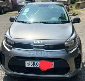Kia Picanto 2021 Gray
