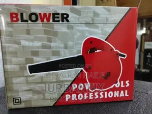 Portable Blower (Electric Air Blower)