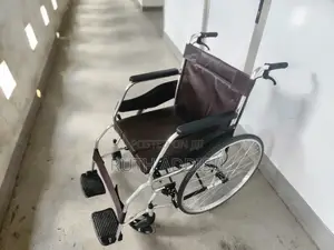 Wheelchair米蘭wheelchair榮獲toilet Wheelchair去了toilet Wheelchair