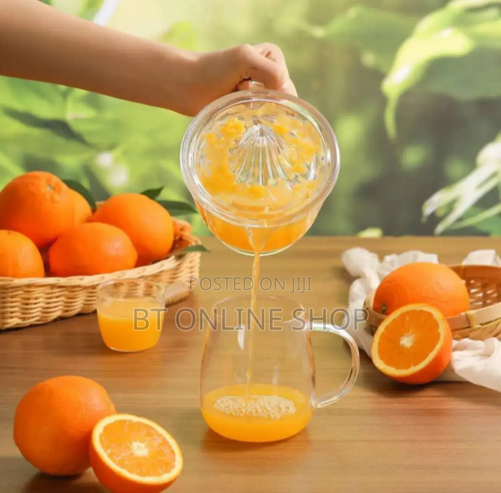Manual Fruit Juicer With Jug