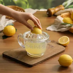 Manual Fruit Juicer With Jug
