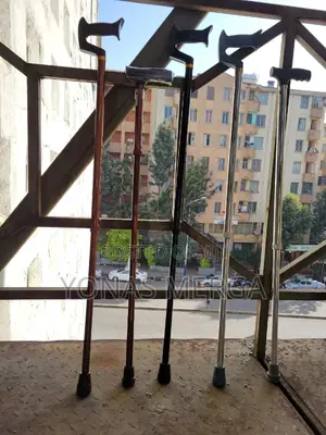 Cane/Variety in Design:Walking Sticks Come Various Materials