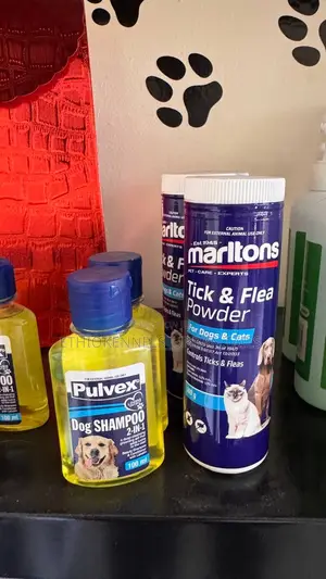 Shampoo for Dogs