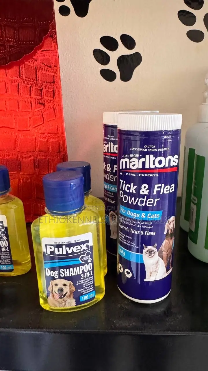 Shampoo for Dogs