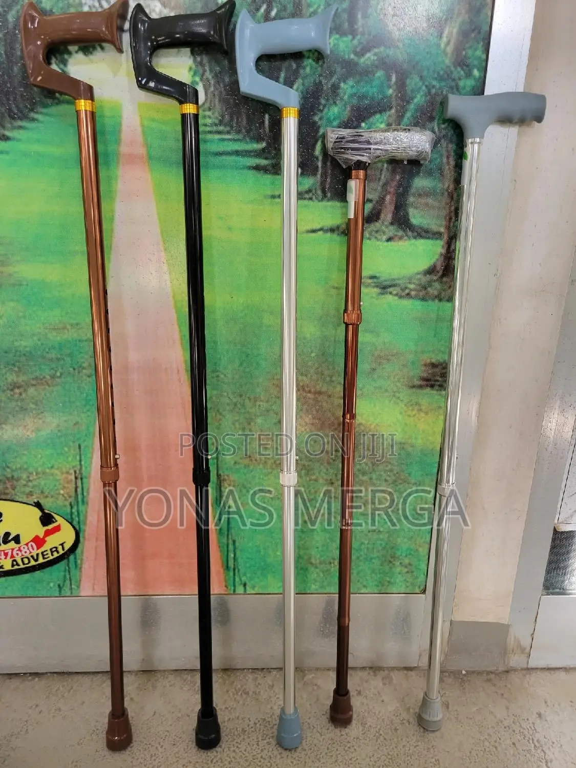 Walking Sticks//Spacelite Cane – All-in-One