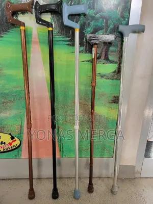 Walking Sticks//Spacelite Cane – All-in-One