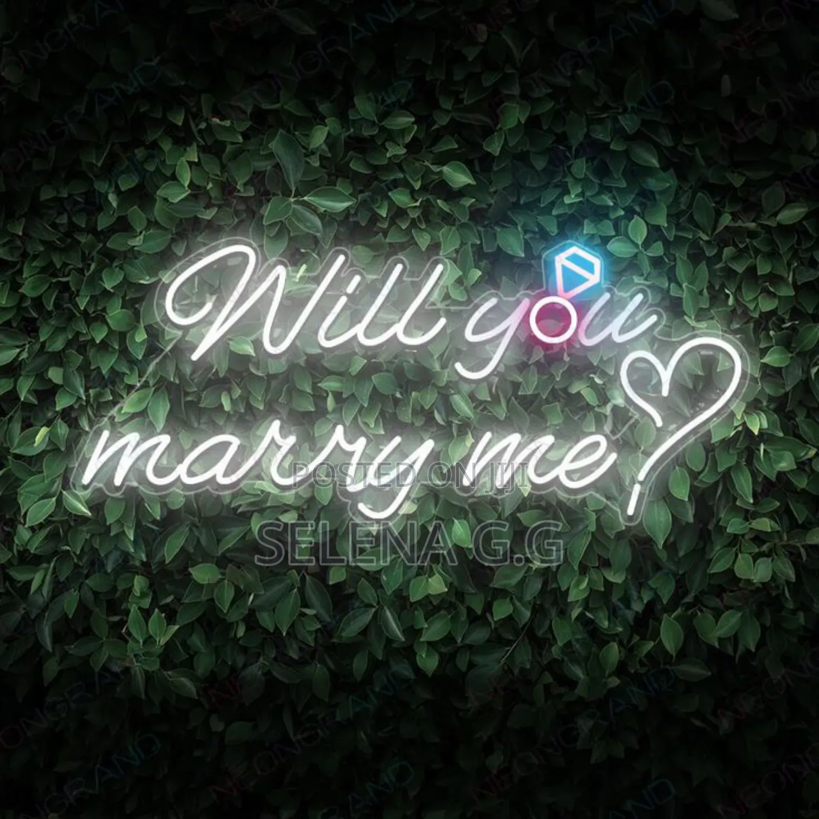 Custom Neon Signs