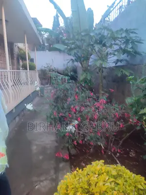 4 Bedroom Villa House Fernished Guest House for Rent