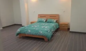 Furnished 3bdrm Apartment in Lideta for rent