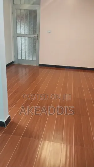 Furnished 1bdrm Condo in Bole Ayat 4 for sale