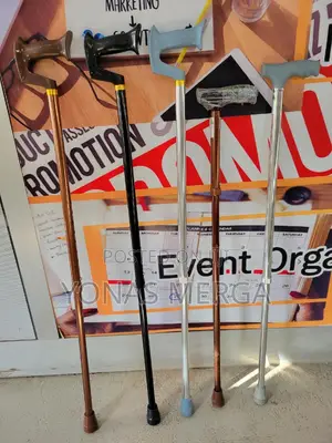 Walking Stick娼ث Pe Care Silver Tri Cane Walking Stick