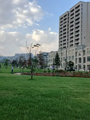 2bdrm Apartment in Apartment, Yeka for rent