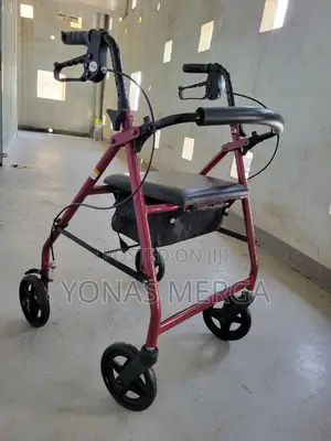 Walker With Chairف晗walkers Come With Detailed User