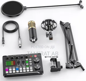 Professional Live Sound Card Condenser Microphone