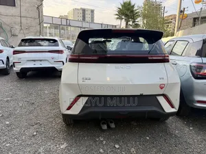New BYD Seagull 2025 Brown