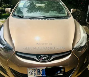 Hyundai Elantra 2014 Silver