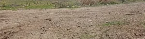 Land /Plot for Sale የሚሸጥ መሬት