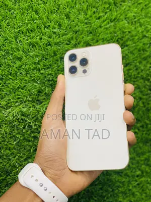 Apple iPhone 12 Pro Max 256 GB Gold