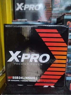 Car Battery