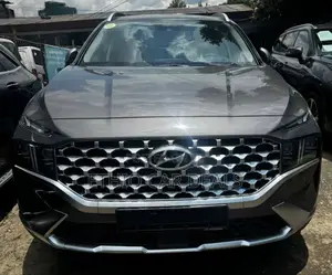 New Hyundai Santa Fe 2023 Gray